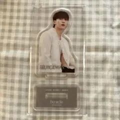 アクリルスタンド SEVENTEEN スングァン FACE THE SUN