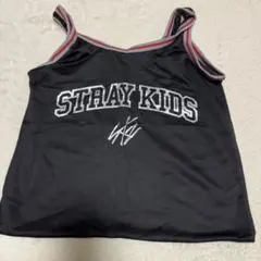 Stray Kids アプグレ特典 グッズ メッシュバッグ エコパ トートバッグ
