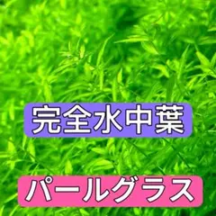 ひかる様 リクエスト 2点 まとめ商品