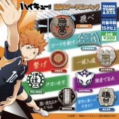 ハイキュー!! 高校モチーフピンバッジ