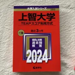 上智大学(TEAPスコア利用方式) 2024