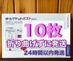 【10枚】折り曲げ無し ゆうパケットポストmini専用封筒 24時間以内発送