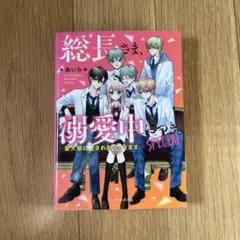 【野いちご】総長さま、溺愛中につき。 SPECIAL
