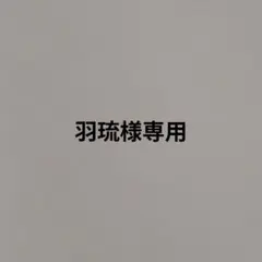 羽琉様専用ページ