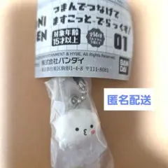 ミニティーン セブチ つまんでつなげてますこっと 01ウジ PPYOPULI