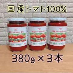グリーンコープ 国産完熟トマト トマトケチャップ 380g×3本 - メルカリ