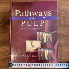 Item thumbnail for item 0456eb2c-3194-40b6-9834-afd6e86edee0