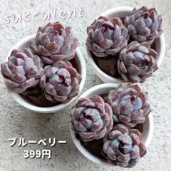 яαⓂ︎《プロフ必読》様 リクエスト 2点 まとめ商品