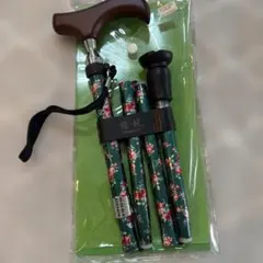 Item thumbnail for item bea2d0df-dfde-4607-94a4-dc3aa44e23c0