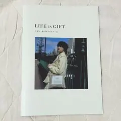 【美品】STARGLOW RUI ジョンマスターオーガニック 冊子