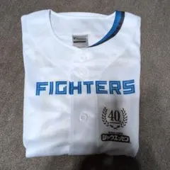 Item thumbnail for item a3352137-dea3-44ab-b7fb-68cda08ddffc