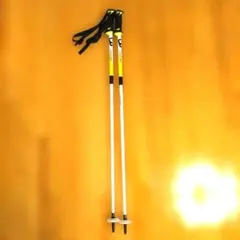 Salomon スキー用ストック 黄色/黒