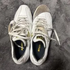 Item thumbnail for item 1f7a5e25-e920-4f68-a961-66c478e2c7fe