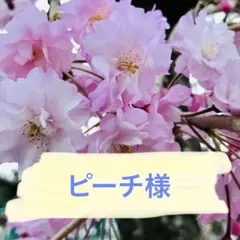 Item thumbnail for item 8d0f23d3-79ef-4611-a098-3a36fc27cf44