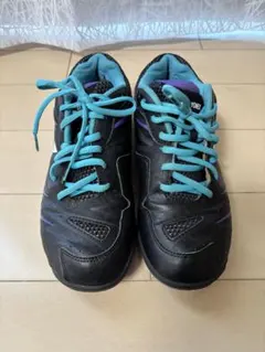 Item thumbnail for item b5da5505-8a15-444b-a227-a9b7f915545e