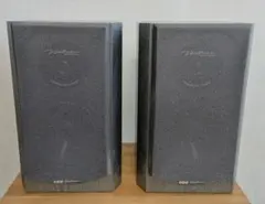 ☆希少☆AAD Q-10 2ウェイスピーカー☆奇才 フィル・ジョーンズ 動作品