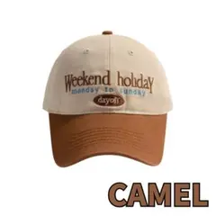 ベースボールキャップ 秋冬カラー アメカジ Y2Kヴィンテージ 刺繍 ストリート