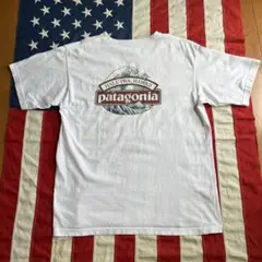 00s ビンテージ patagonia ハワイハレイワ店 北斎 Tシャツ M白のサムネイル