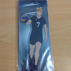 Item thumbnail for item 0592483c-8d29-4843-9463-448506e96079