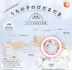 大好評【うちの子けだまだま】　チワワ