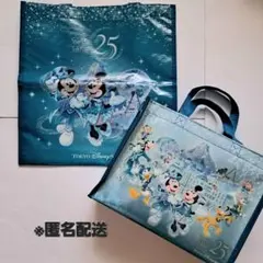 ディズニーシー 25周年 バッグ 2点セット