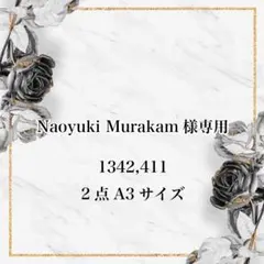 Naoyuki Murakam様専用 2点