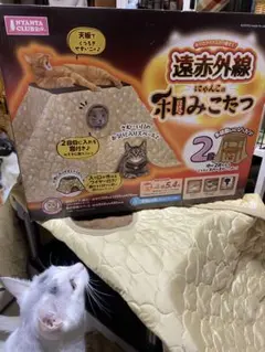 Item thumbnail for item 7ea9d0ba-5dfe-4679-8bf6-d23649dacf6e