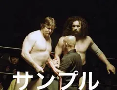 のぶちゃん様 リクエスト 2点 まとめ商品