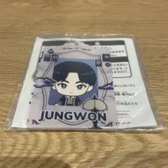 ENHYPEN ミニフォトカードキーホルダー ジョンウォン