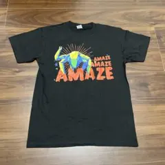 新品・未使用】WWE公式ライセンス品 リア・リプリー テリファーコラボT