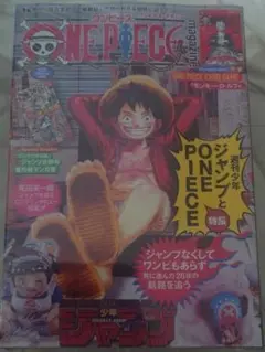 ワンピースマガジン　ルフィ　プロモカード　一冊　未開封