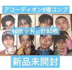 KARMA アコーディオン　8枚　コンプリート　10セット　スキズ