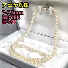 アコヤ真珠 ロングネックレス 照り強 約60cm 真珠サイズ7-7.5mm SV 
