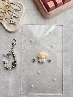 A6 アクリルレジンバインダー リング付き 韓国 貯金 saving セービング