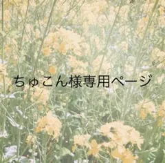 ちゅこん様専用ページ