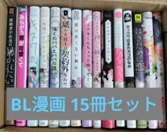 BL漫画 ボーイズラブ まとめ売り 15冊セット