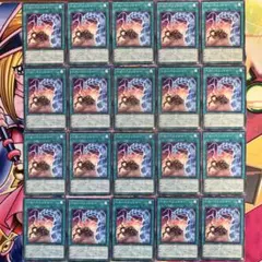 ヘル・パニッシャー 20枚セット No.E29