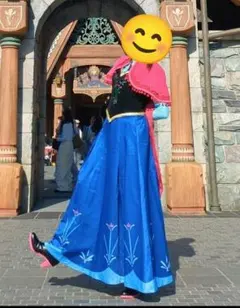 ビビディバビディブティック アナ【140】廃盤品 アナと雪の女王 キッズ