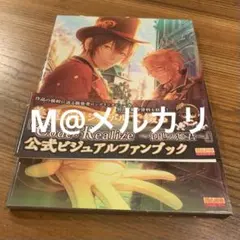 2026年最新】Code:Realize 〜創世の姫君〜 公式アートブックの人気