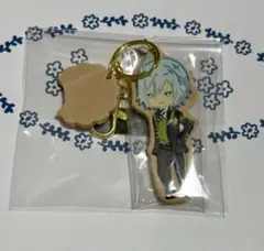 カ*タ様 ツイステ　シルバー