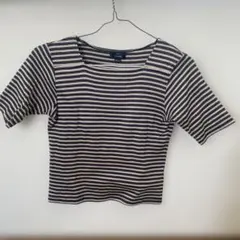 ensuite ボーダー 半袖カットソーのサムネイル