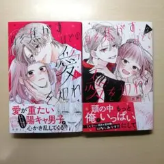 身を焦がすほどの愛を知れ 1.2巻セット