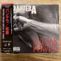 PANTERA VULGAR DISPLAY OF POWER