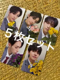 ALD1。 5枚セット