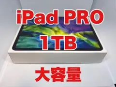 【美品】iPad Pro 11インチ第2世代 1TB wifi＋セルラーモデル