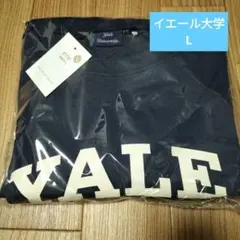 Item thumbnail for item 4321de6a-1b2a-40df-8a3a-f7f51e5cd665