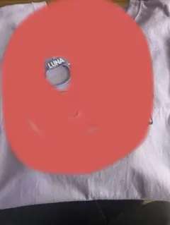 FRUITS ZIPPER 仲川瑠夏セット