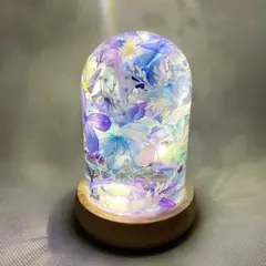 《専用ページ》