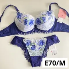 パルファージュ☆リボンブラ ブラジャー ショーツ D70 ワコール - メルカリ