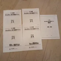 グノーブル 実力確認テスト GnoRev 4年生 11月度（2020年）グノレブ
